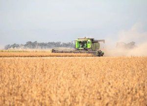 Los campos más caros de Santa Fe: cuánto cuesta una hectárea y en qué departamentos están