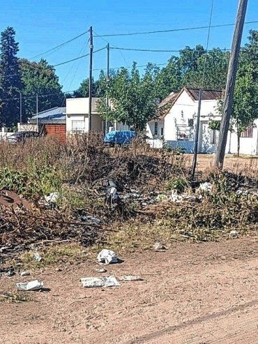 Hallazgo macabro en Concordia: encontraron un cráneo humano en un baldío