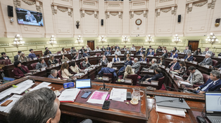 La nueva Carta Magna fue aprobada este miércoles con 52 sufragios positivos y 17 negativos.