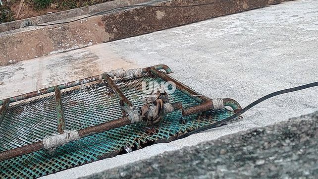 Penitenciarios frustraron los actos preparatorios de una fuga masiva de presos en la cárcel de Las Flores.&nbsp;