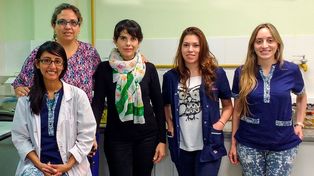 Desarrollan un cultivo bioprotector para combatir la contaminación de  escherichia coli enterohemorrágica en la carne