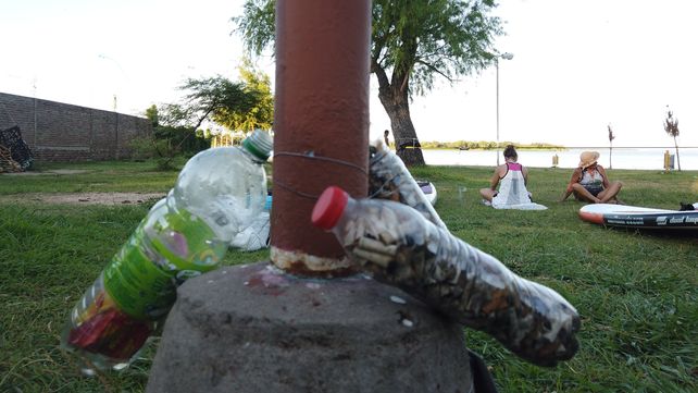 Conciencia ambiental y corporal.&nbsp;
