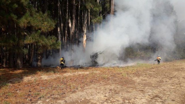 Bomberos Voluntarios de Ceibas acudieron el sábado y el domingo a apagar incendios en la estancia La Pellegrina. El lugar reportó al menos 15 en la temporada&nbsp;