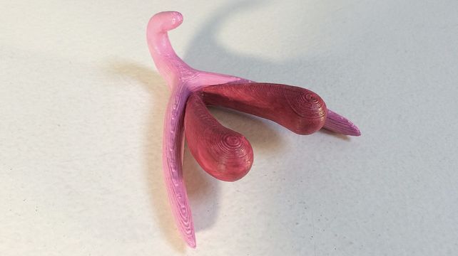 Lanzan una campaña nacional para hablar del clítoris y los derechos sexuales