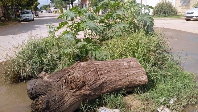 Los vecinos colocaron un gran tronco frente al socavón para dar aviso a los vehículos. Foto: gentileza LT10.