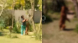 El aberrante asesinato de un perro indigna a Cayastá