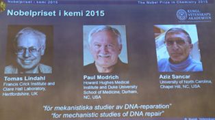 Premio Nobel de Química para tres científicos que estudiaron la reparación del ADN