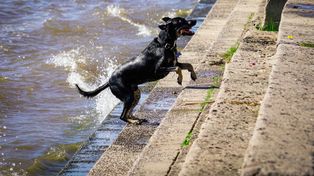 El tiempo en Rosario: martes con cielo algo nublado y temperatura en ascenso