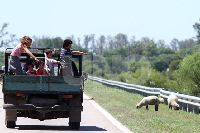 Oscuridad y animales sueltos enlutan la Circunvalación Oeste