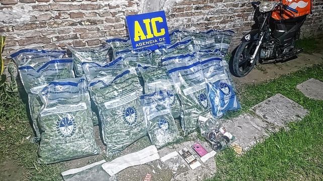 Las plantas de marihuana y los distintos elementos secuestrados durante el operativo