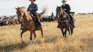 Unos premios Oscar marcados por el streaming y la presencia latina