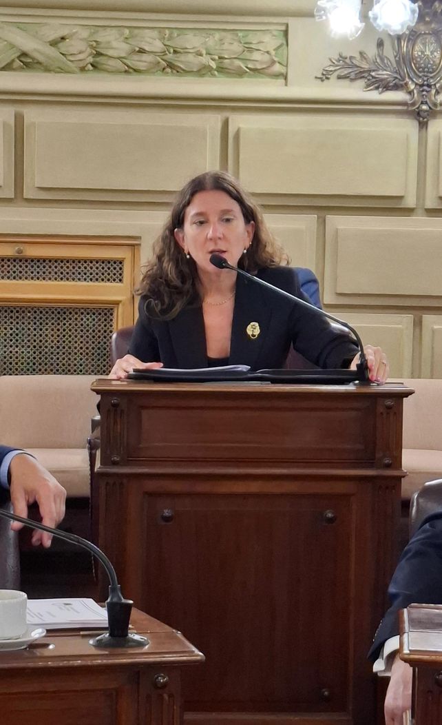 Desde el Senado provincial piden la intervención urgente de Nación ante el estado calamitoso de las rutas