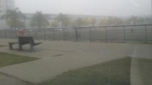 La niebla cubrió la ciudad y complica el tránsito en las rutas de la región