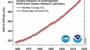 El CO2 en la atmósfera sigue aumentando y alcanzó otro récord