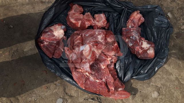 Dos delincuentes presos por robar y faenar tres vacunos en San Javier