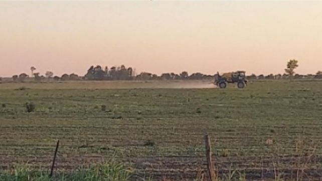 La confianza del agro repunta, pero siete de cada diez productores aún frenan inversiones