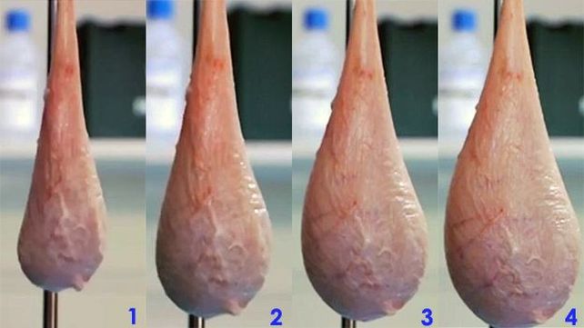 Los secretos de tu orina