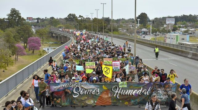 El debate de Ley de Humedales aglomera muchos otros debates. Nos hace discutir cómo legislar y gestionar el territorio para vivir en un ambiente más sano