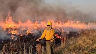 Dramáticos incendios en Corrientes: 350 mil hectáreas fueron arrasadas