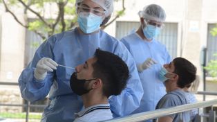 Coronavirus: hubo más de 44 mil nuevos casos y 41 muertes en las últimas 24 horas en Argentina