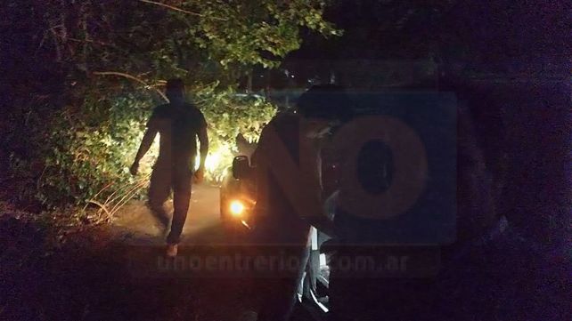 Paraná: árboles caídos y viviendas anegadas por el temporal