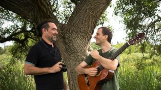 Consigna. Disolver los contornos de los sentidos para aunar en un mismo latido común: la simpleza.