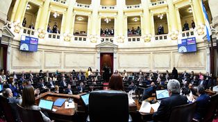 El Senado de la Nación no sesiona desde el 16 de noviembre último.