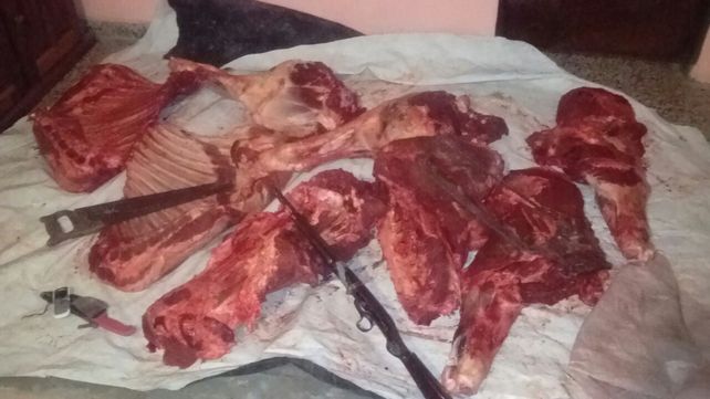 Cuatreros tras las rejas: trasladaban 160 kilos de un vacuno faenado