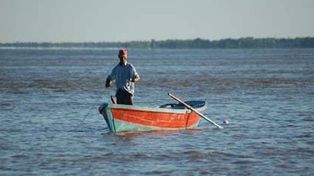 Comienza la veda pesquera de surubí en toda la provincia