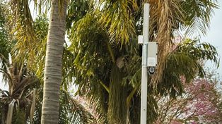 La Municipalidad anunció la instauración de las fotomultas en la ciudad.&nbsp;