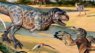 Descubrieron un dinosaurio de millones de años en Neuquén&nbsp;