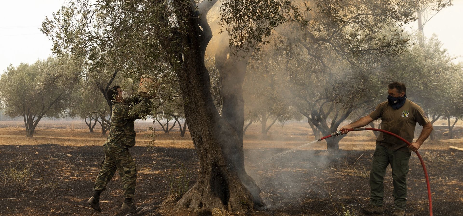 La gente intenta extinguir un olivo en llamas en el pueblo de Avantas, cerca de la ciudad de Alexandroupolis, en la región nororiental de Evros, Grecia, el martes 22 de agosto de 2023. Cientos de bomberos lucharon el martes para controlar los grandes incendios forestales que ardían sin control durante días en noreste de Grecia. (Foto AP/Achilleas Chiras) La gente intenta extinguir un olivo en llamas en el pueblo de Avantas, cerca de la ciudad de Alexandroupolis, en la región nororiental de Evros, Grecia, el martes 22 de agosto de 2023. Cientos de bomberos lucharon el martes para controlar los grandes incendios forestales que ardían sin control durante días en noreste de Grecia. (Foto AP/Achilleas Chiras)