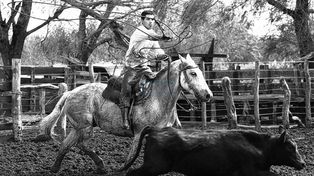 Concurso fotográfico Costumbres y tradiciones entrerrianas UNO 20 Aniversario