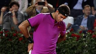 Djokovic no le dio chances a Del Potro