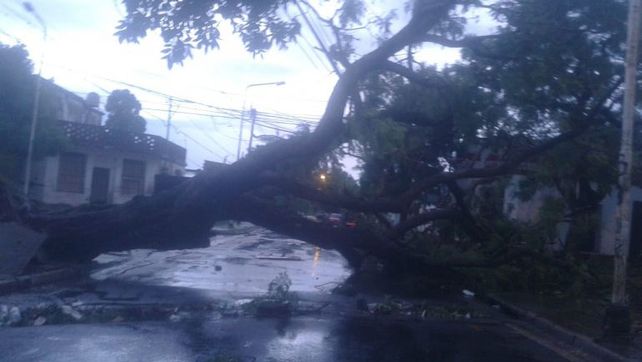 Una cola de tornado afecto al menos 10 cocheras y vehículos en barrio Paraná II