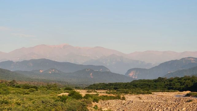 Día del Arbol: proyectos para conservar y regenerar bosques en la Argentina