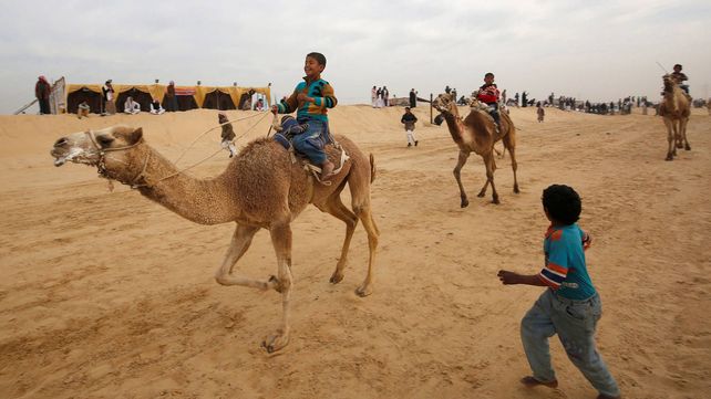 Carreras de camellos en el desierto de Egipto