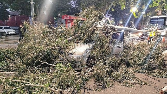 Una enorme rama cayó sobre un auto en el que iba una pareja y su bebé en pleno Boulevard Gálvez