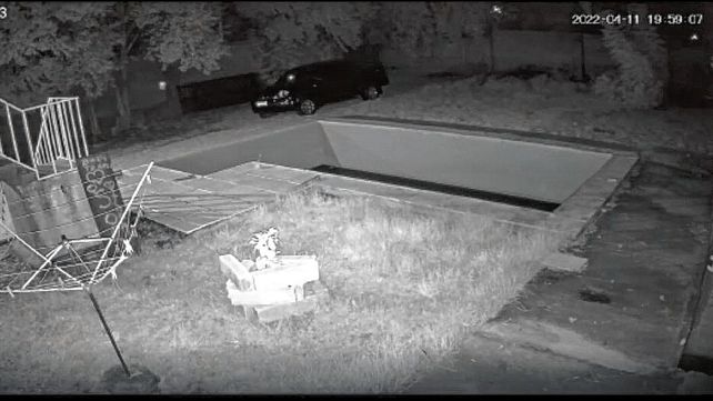 El cantante Mario Pereyra vivió una curiosa escena en su casa