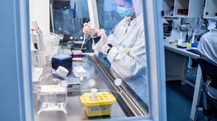 Crean un material que elimina el coronavirus y podría usarse en hospitales y transporte público