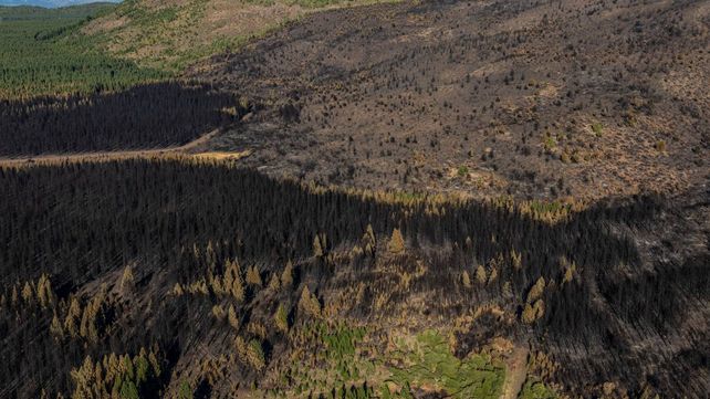Impactantes imágenes de las áreas afectadas por los incendios en la Patagonia