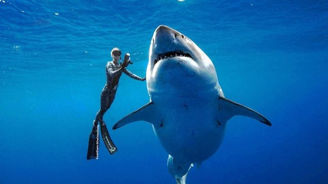 Audaz. La fotógrafa Kimberly Jeffries junto a Deep Blue.&nbsp;