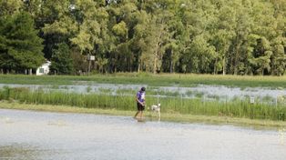 Crecida del río: el Paraná llegó a los 4,94 metros en Santa Fe