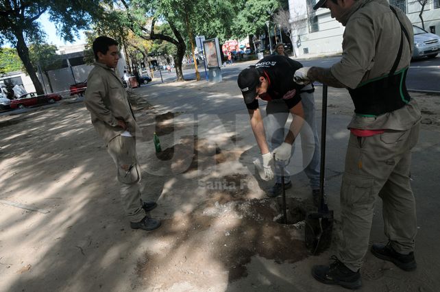 Manos a la obra. Estaba previsto que comience a fines del año pasado