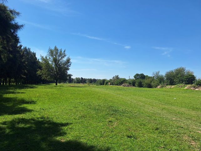 Los vecinos de los barrios Stella Maris y La Bombacha piden una cancha de golf con nueve hoyos en el Bosque de los Constituyentes.