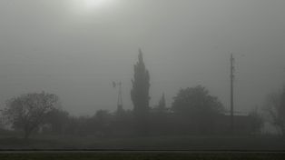 Informe especial del Servicio Meteorológico Nacional por bancos de niebla