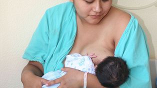 Hallan altos valores de plaguicidas en la leche de madres bonaerenses