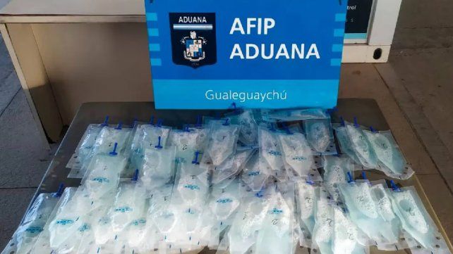 La Aduana argentina detectó una posible maniobra de tráfico con material reproductivo porcino