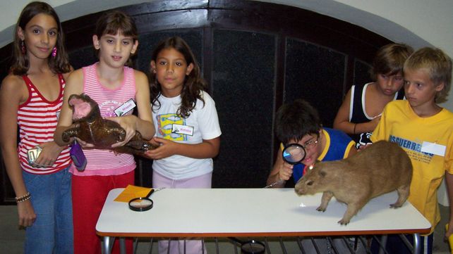 El archivo: los búhos detectives y una noche de aventuras en el museo