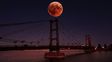La Luna de Sangre vuelve a encender el cielo: cómo y cuándo ver el eclipse del año en Santa Fe